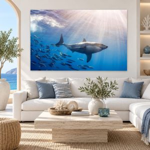 Tableau Fond de Mer – Poissons & Requin