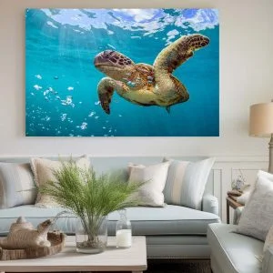 Tableau Tortue sous l'Eau