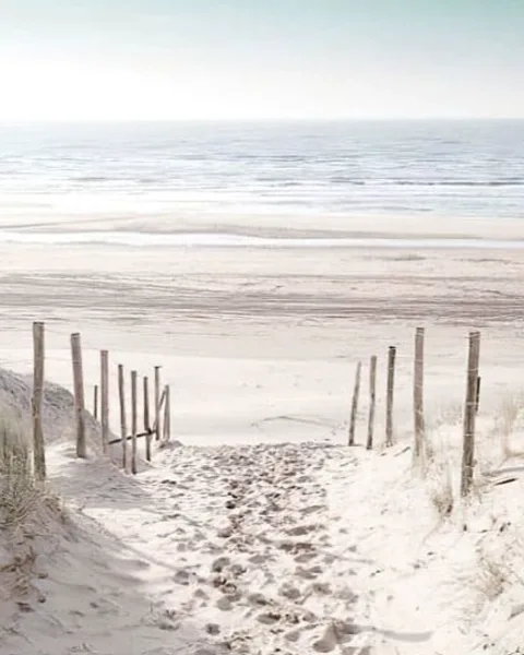 Tableau Bord de Mer & Plage